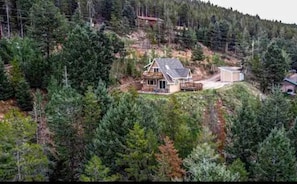 A house surrounded by dense forest, with a visible driveway and a small shed. - SALT WATER HOT TUB at Rabbit Hole A Frame In the Woods (Conifer)