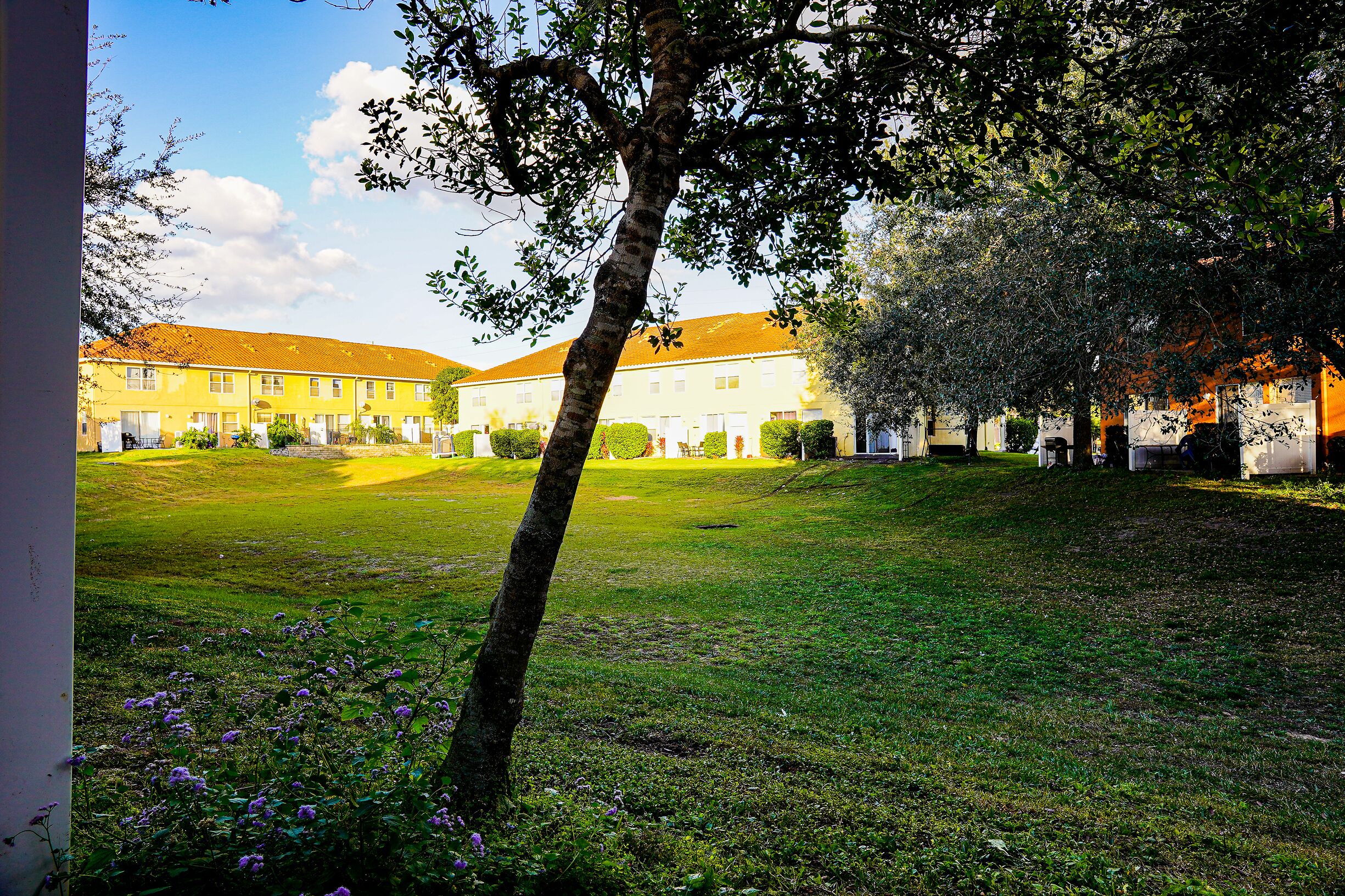 A courtyard with a building in the background, surrounded by greenery and a tree in the foreground.
