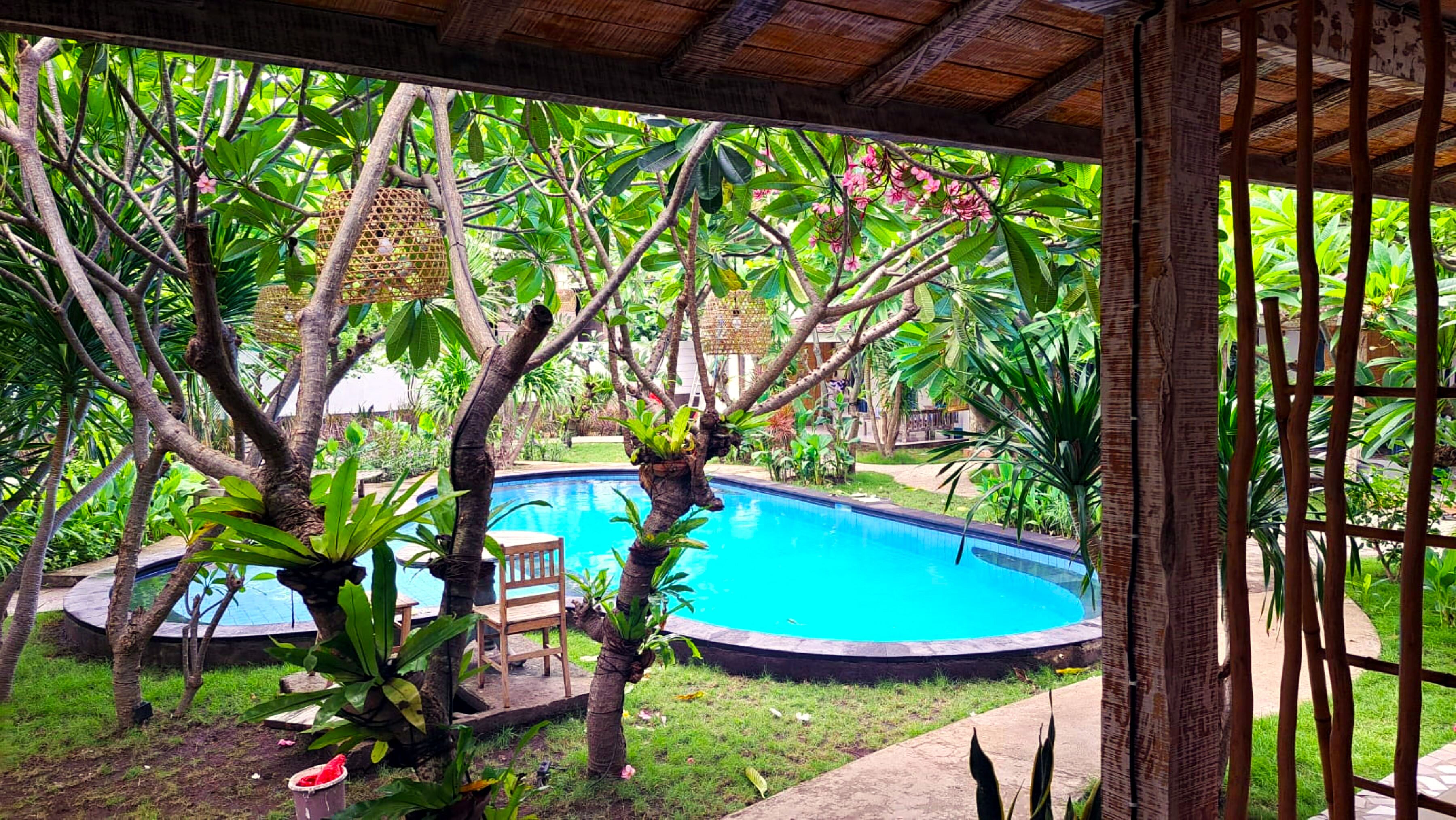 Deluxe Studio, 1 King Bed, Pool Access | View from room