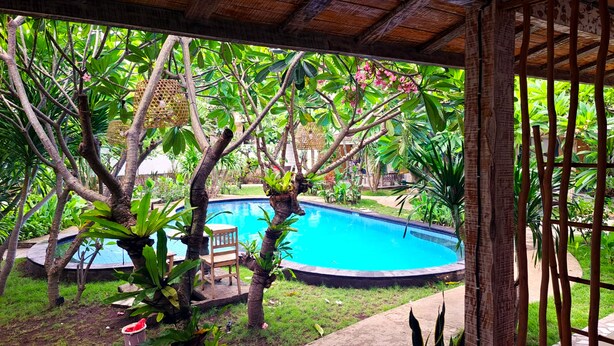 A pool area with a wooden deck, surrounded by lush greenery and trees.