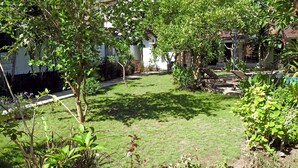 A well-maintained garden with a variety of plants and a clear pathway leading to a building.