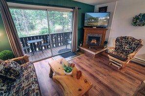 Televisión, chimenea y reproductor de DVD 