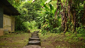Un sentier étroit, bordé d’escaliers en pierre circulaires, traverse une zone boisée luxuriante et verdoyante pour aboutir à un bâtiment rustique surmonté d’un toit en tôle ondulée.