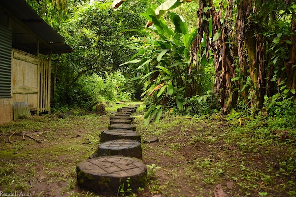 Hiking