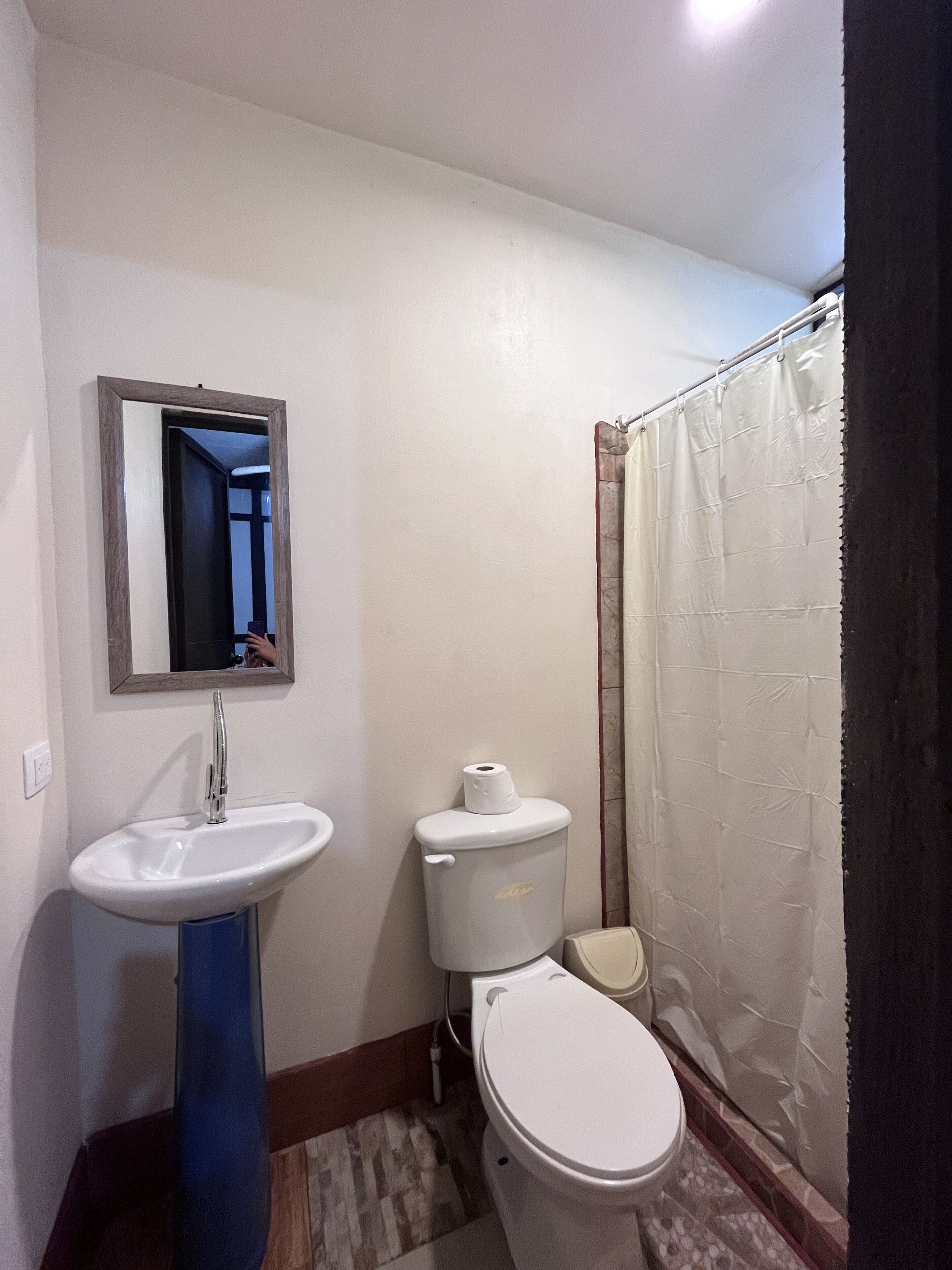 A bathroom with a sink, toilet, and shower curtain.