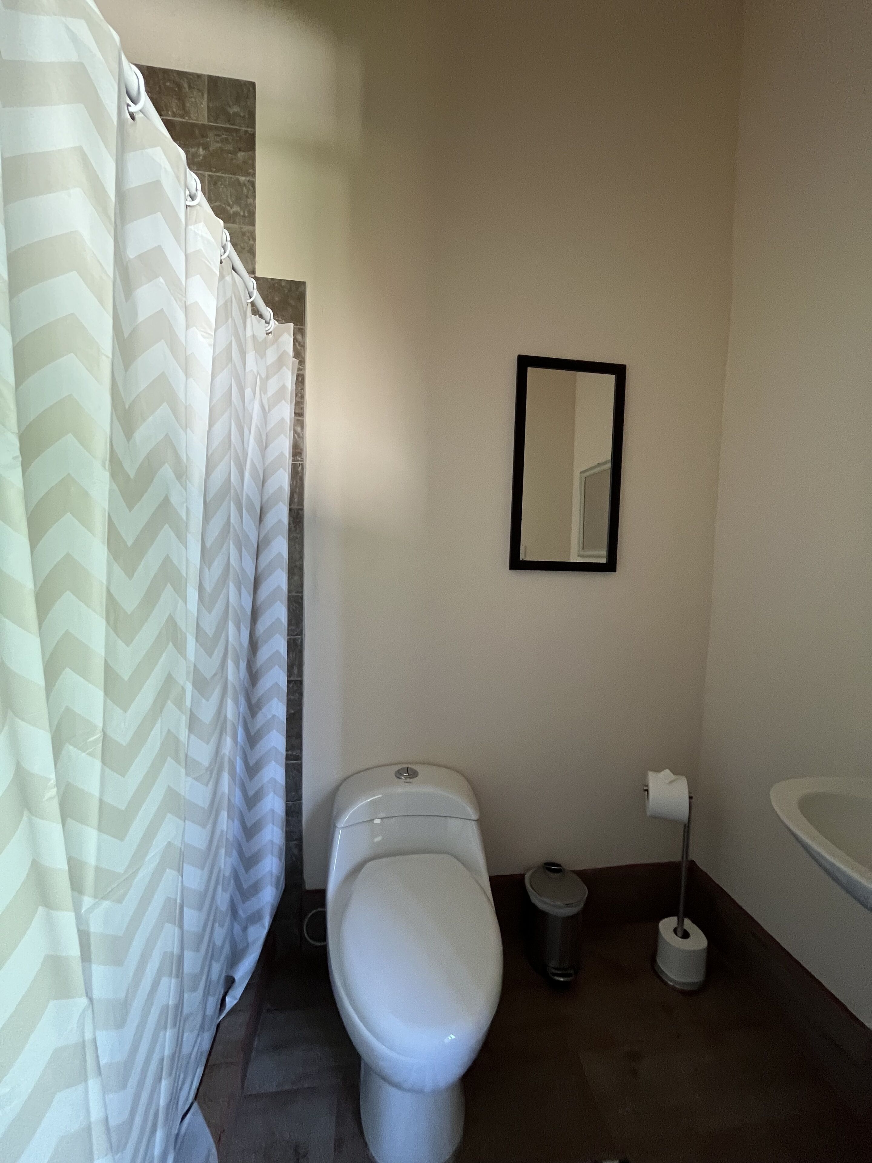A bathroom with a toilet, a trash can, a roll of toilet paper, and a shower curtain.