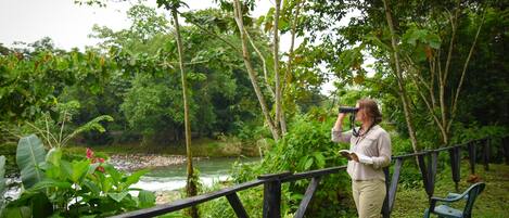 A person standing on a wooden deck overlooking a river, surrounded by lush greenery and trees.