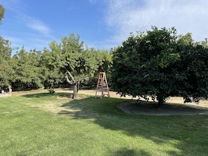 Área infantil