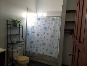 Un baño con cortina de ducha, un inodoro, una estantería con una planta y una puerta de madera.