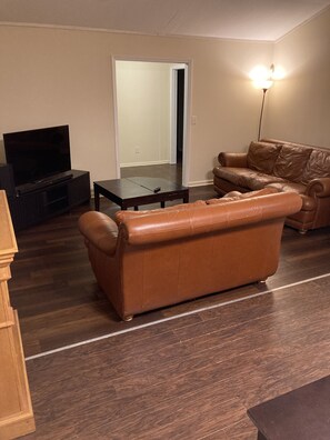 Living area - 3 bedroom kid and pet friendly (Stone Mountain)