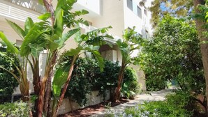Um pátio com um caminho, cercado por vegetação exuberante e um edifício com varandas.
