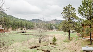 A cabin with a small stream and a forested hill in the background. - Welcome to Goldfinch! (Hill City)