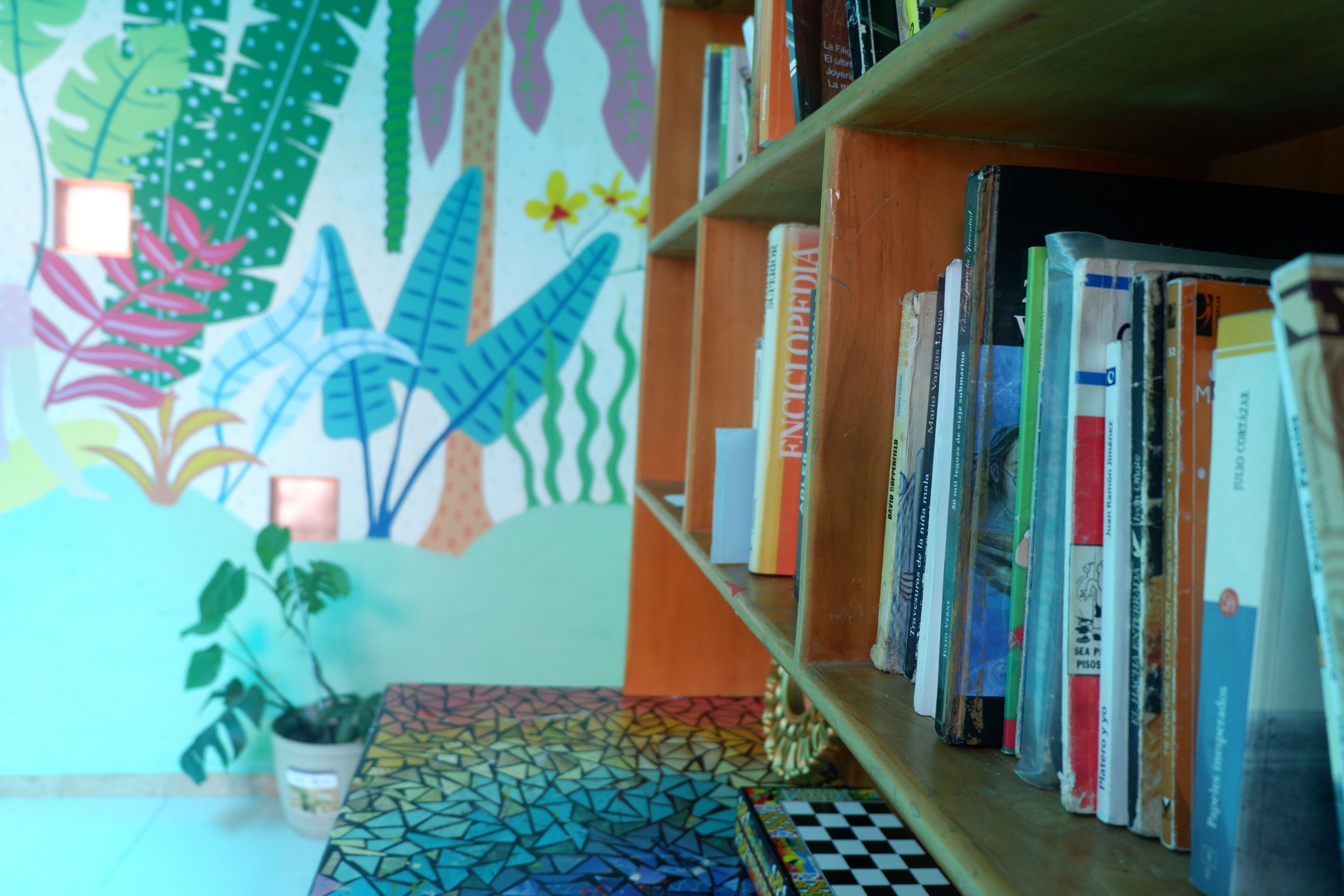 A bookshelf with various books, a potted plant, and a colorful wall mural.
