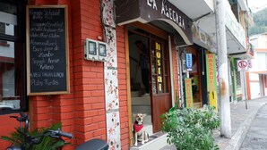 Ein Restaurant mit roter Backsteinfassade, einer Kreidetafel mit der Speisekarte und einem Hund, der draußen sitzt.