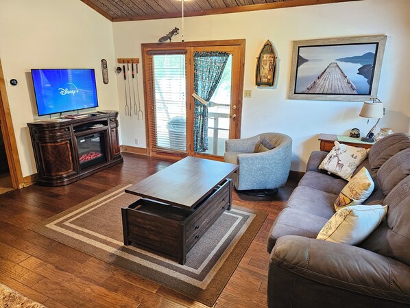 TV connectée, cheminée, lecteur de DVD, livres