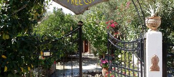 2-Bed 2-Bath Olive Tree Cottage - Sleeps 4