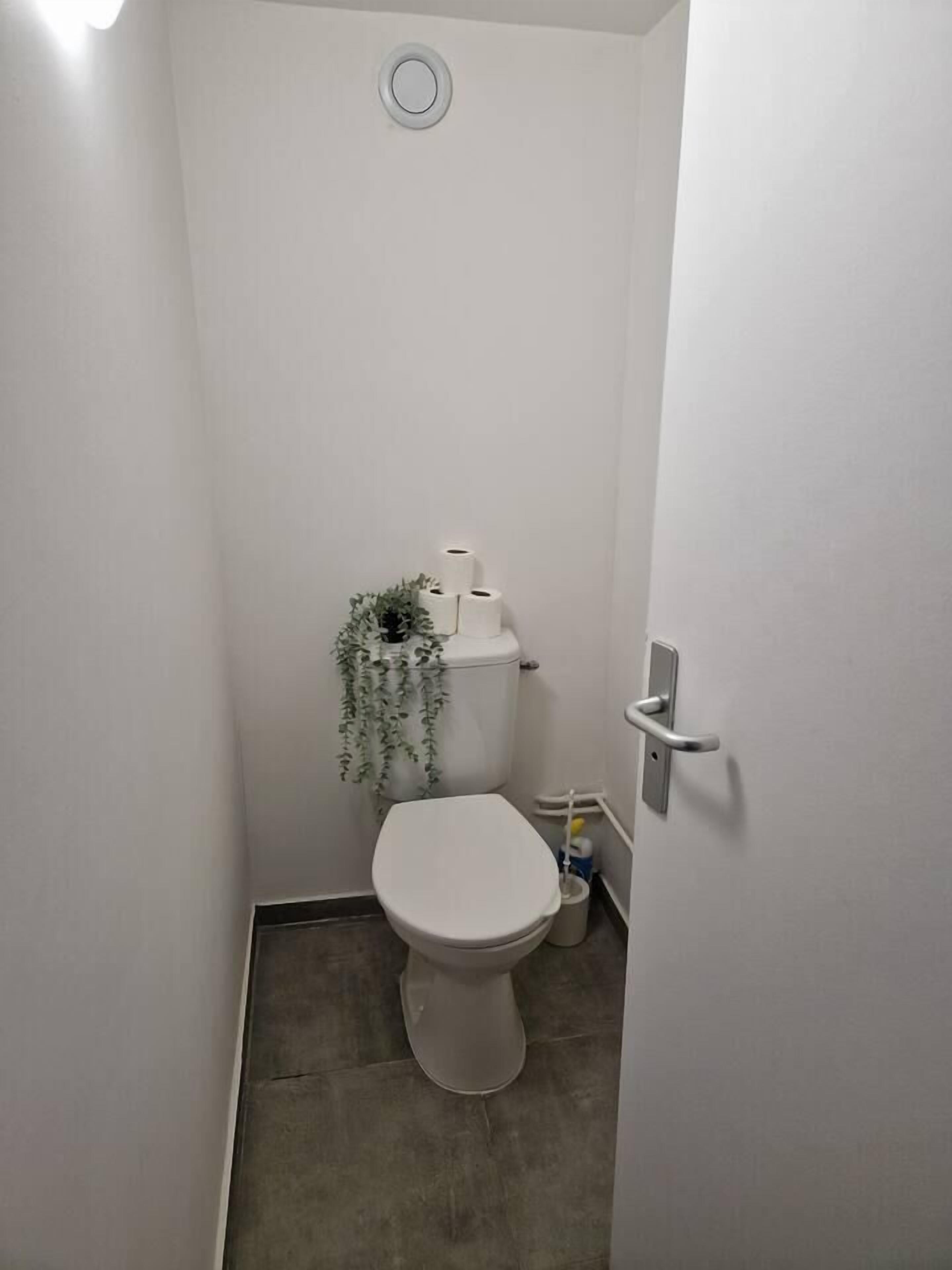 Un bagno piccolo e pulito con il water, un portasciugamani di carta e un piccolo cestino.