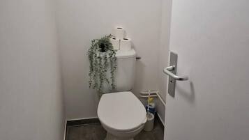 Un bagno piccolo e pulito con il water, un portasciugamani di carta e un piccolo cestino.