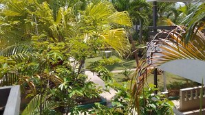 Un jardin luxuriant, parsemé de diverses plantes tropicales et de palmiers, un bâtiment blanc doté d’un balcon, et un ciel d’un bleu limpide.