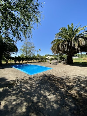 Terrace/patio - Hotel bermudas inn  (Chillan)