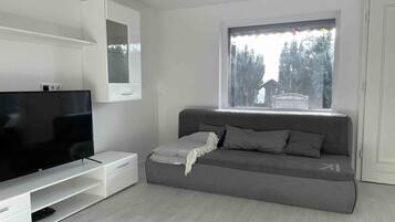 TV, fireplace, streaming services