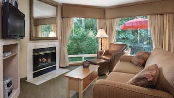 Smart TV, chimenea, reproductor de DVD y libros