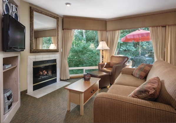Smart TV, fireplace, DVD player, books
