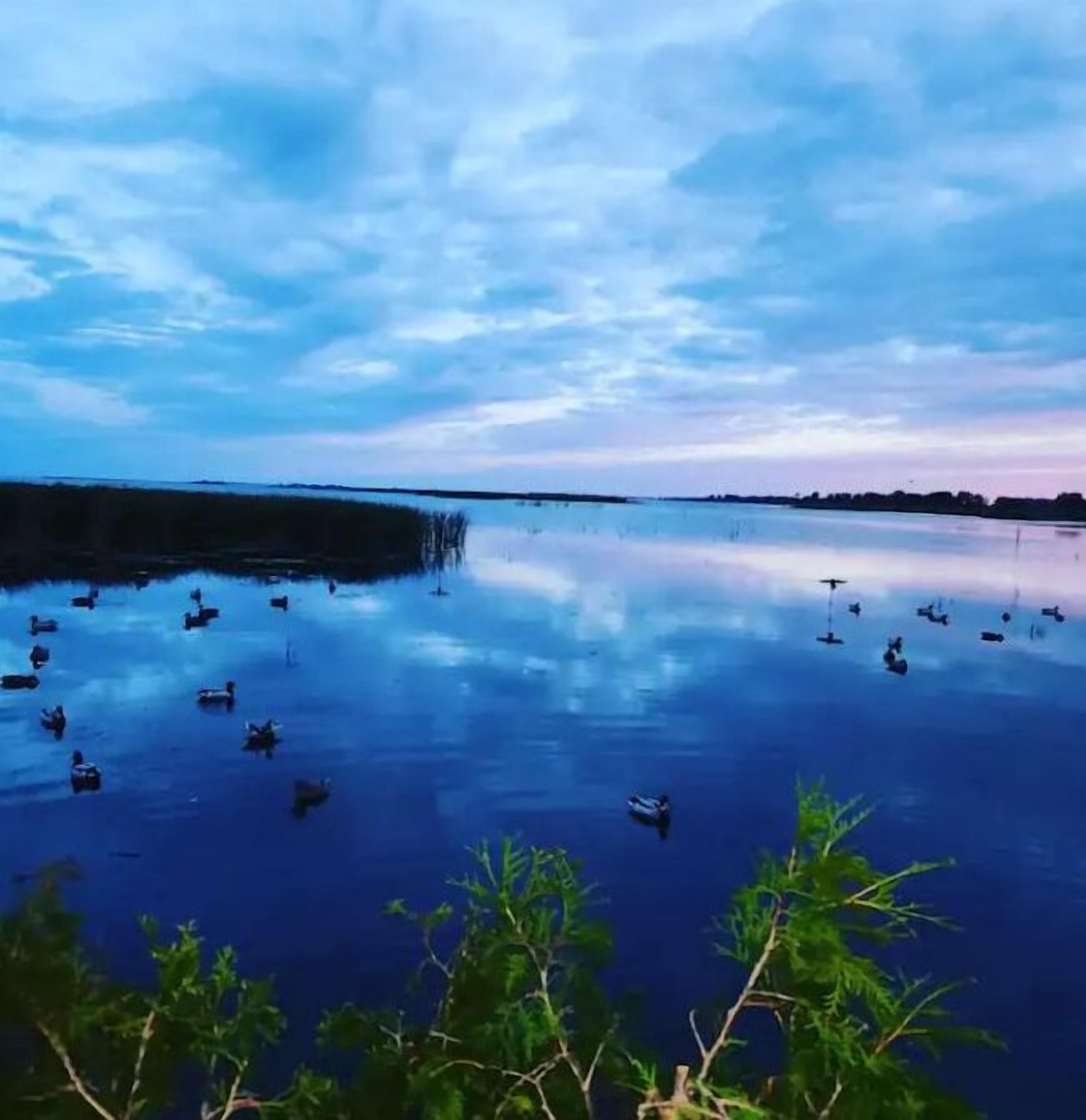 A calm body of water with several boats and a distant shoreline.