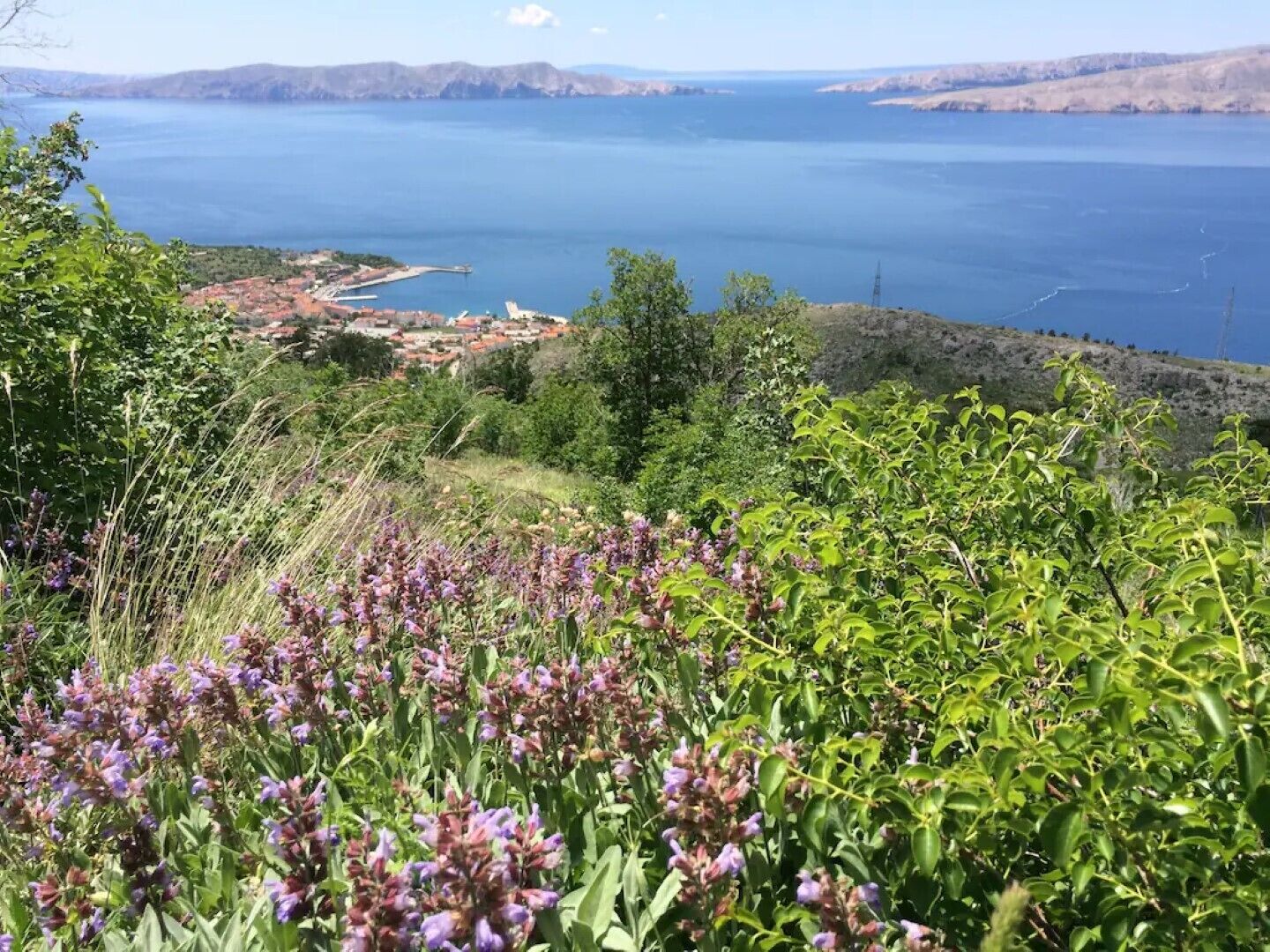 منوع
