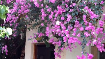 Cottage | Exterior