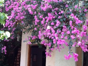 Cottage | Exterior - Stunning 2-bedrooms Private Cottage in Palaiochora (Kantanos-Selino)