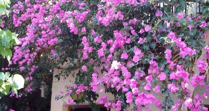Stunning 2-bedrooms Private Cottage in Palaiochora