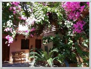 Exterior - Stunning 2-bedrooms Private Cottage in Palaiochora (Kantanos-Selino)