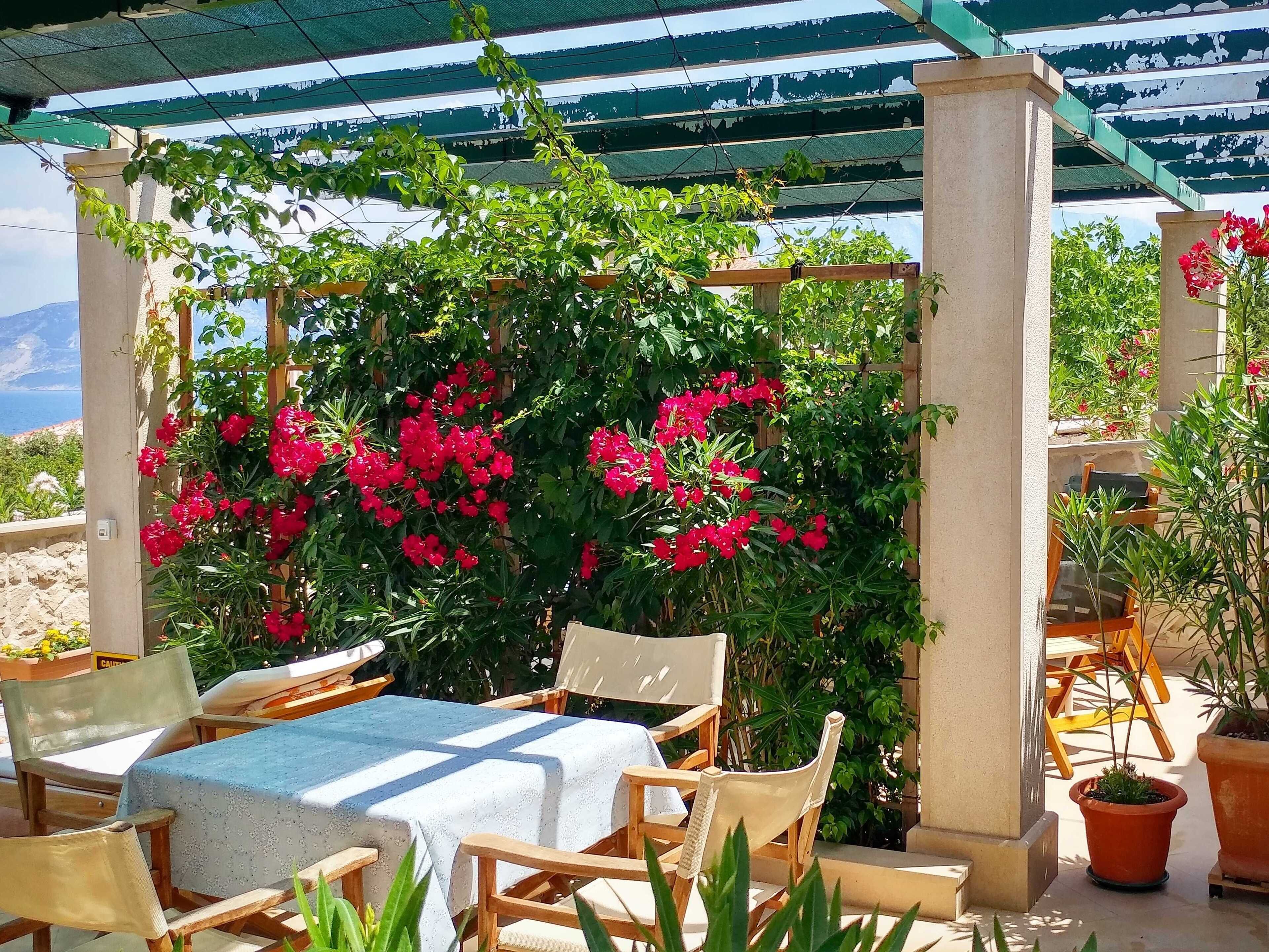 公寓 (One Bedroom Apartment with Terrace) | 露台