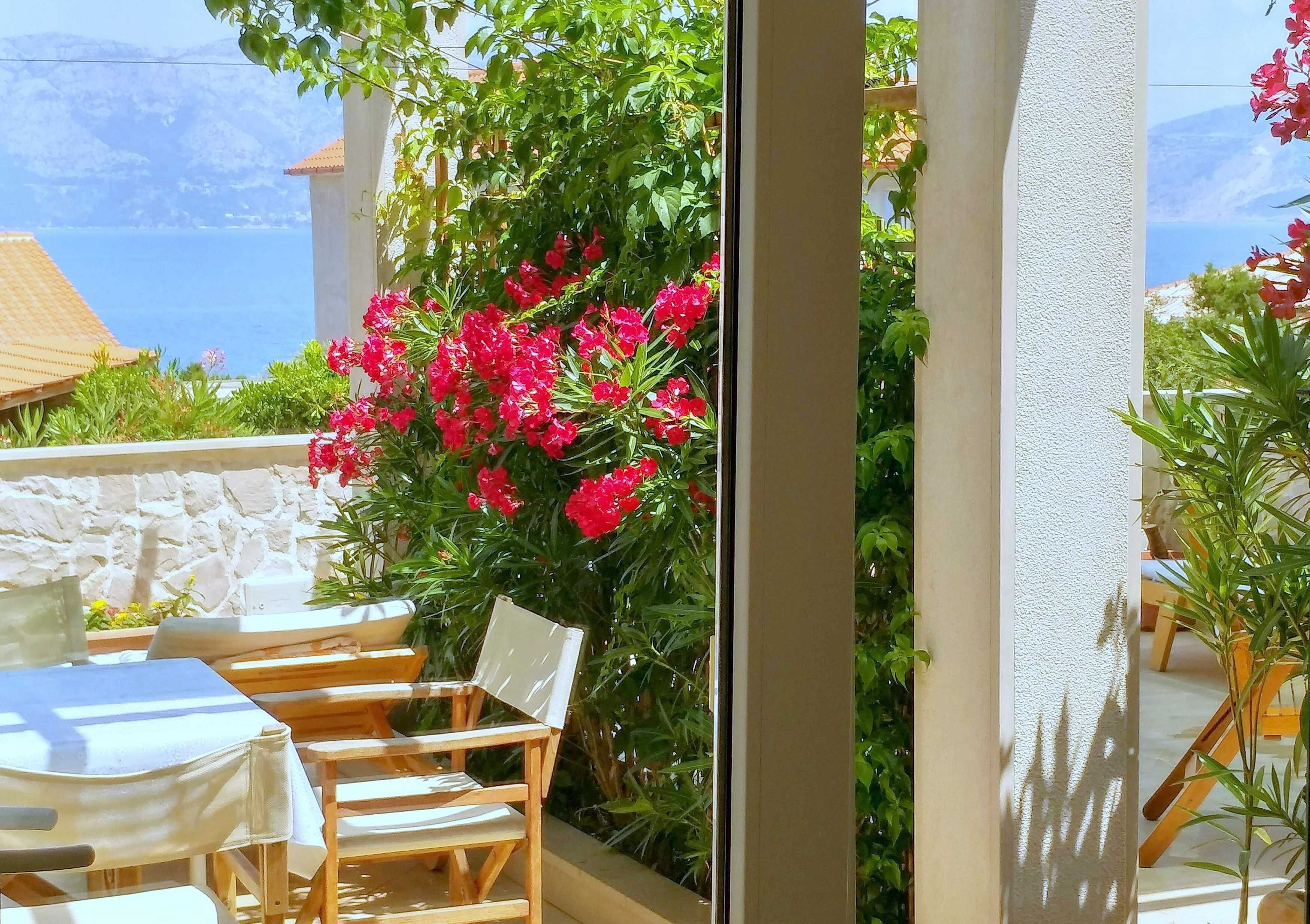 Appartement (Superior One Bedroom Apartment with T) | Terrasse/patio