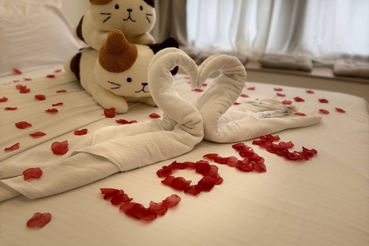 Romantic Cat Homestay Near Legoland | 办公桌、笔记本电脑工作区、遮光窗帘、免费 WiFi