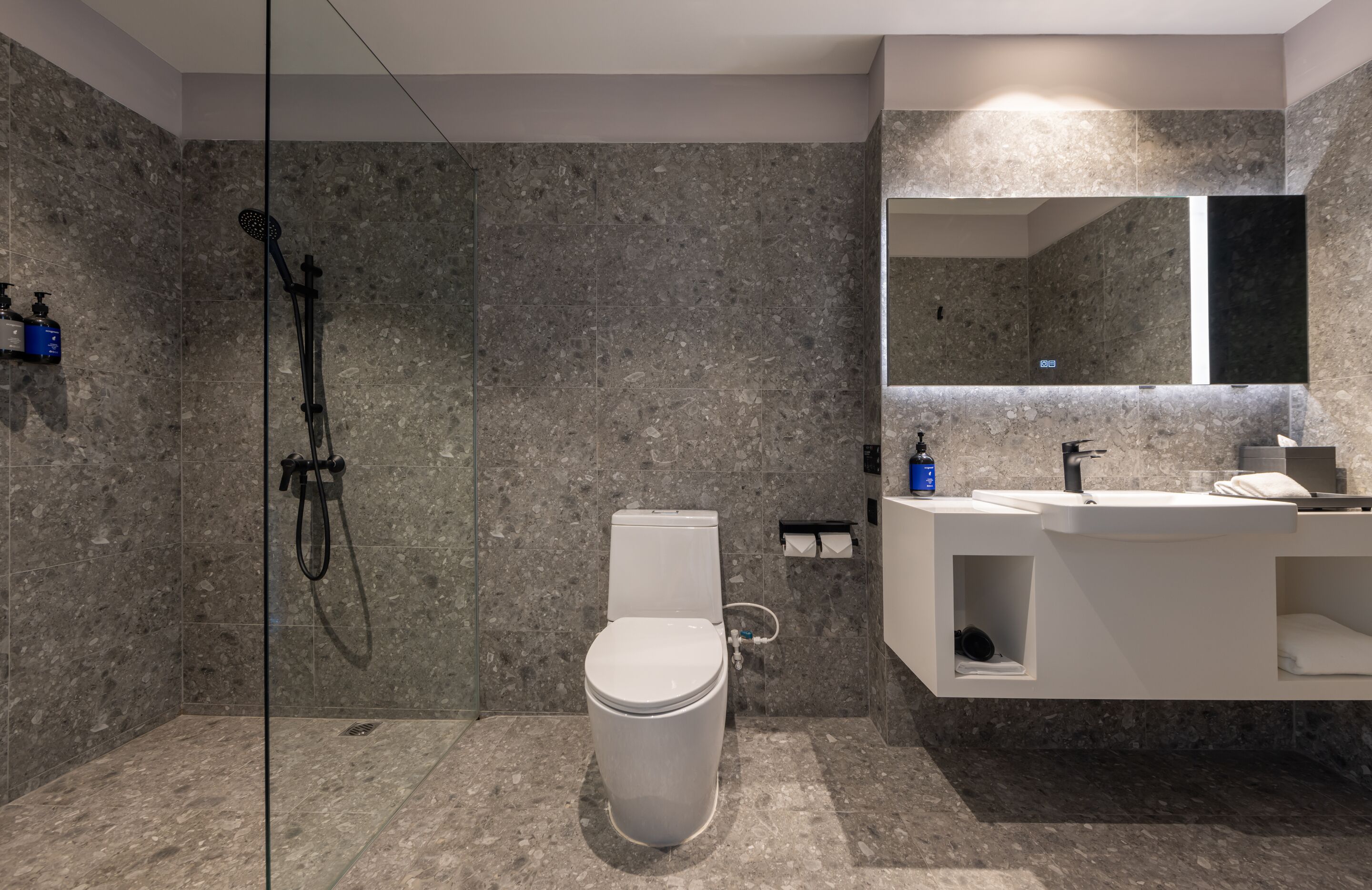 A modern bathroom with a glass-enclosed shower, a toilet, and a vanity with a mirror.