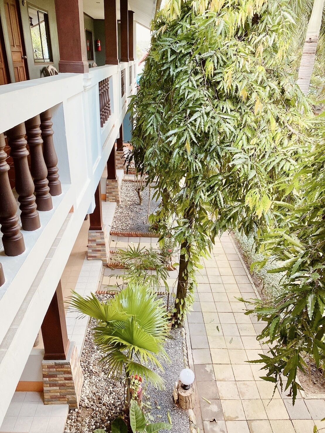 Un espace extérieur abrité, doté d’une allée dallée, d’une rambarde en bois et de diverses plantes, dont un palmier.