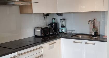 Beautiful and Modern Apartment in North London