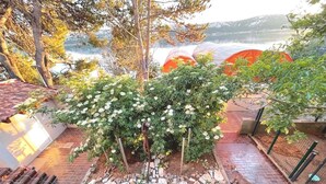 Property grounds - Studio Apartment for 2 (Stara Novalja)