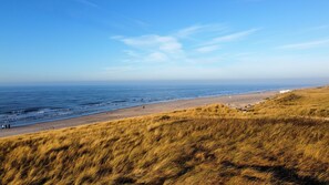 Vlak bij het strand, ligstoelen aan het strand