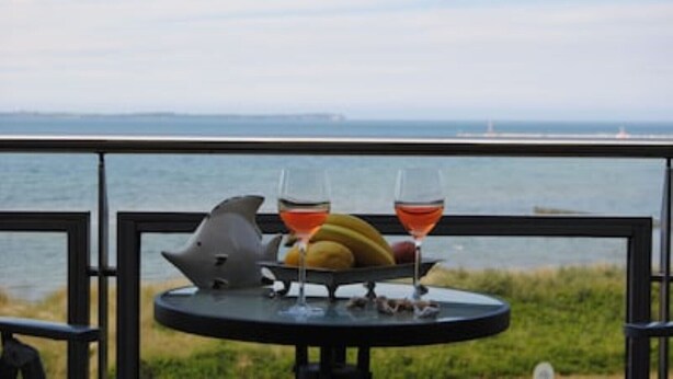 A table with fruits and glasses of wine, overlooking a body of water with a distant ship.