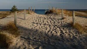 A sandy beach path with wooden posts, leading to the ocean.