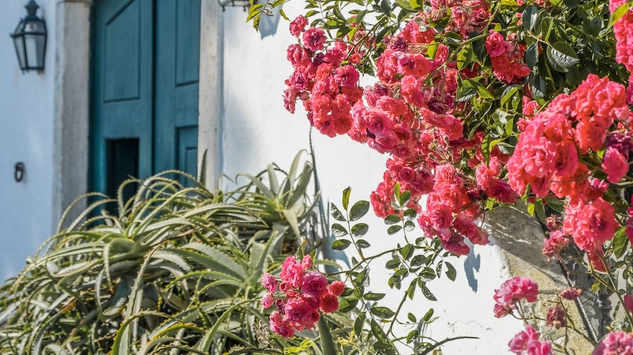 Eighteen21 Houses - Casa dos Condes