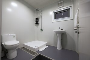 Shower, hair dryer, bidet, towels