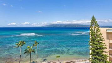 Plage, chaises longues, serviettes de plage
