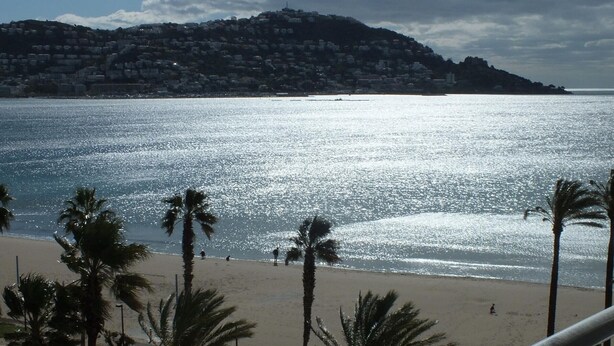 A beach with palm trees, a clear view of the sea, and a distant hill with buildings.