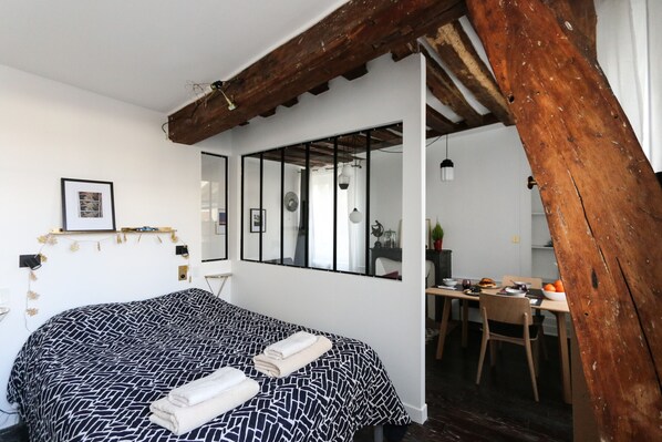 1 bedroom, iron/ironing board, free WiFi, bed sheets - Paris - Bastille - Style atelier d'artiste (Paris)