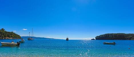 Departamento | 1 habitación