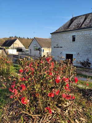 Garden - Bulle de campagne (Saint-Benoit-la-Foret)